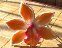 Мастер-класс по флористике